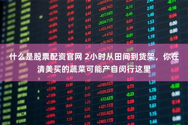 什么是股票配资官网 2小时从田间到货架，你在清美买的蔬菜可能产自闵行这里