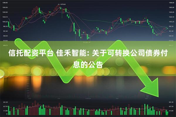 信托配资平台 佳禾智能: 关于可转换公司债券付息的公告