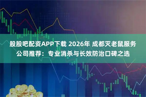 股股吧配资APP下载 2026年 成都灭老鼠服务公司推荐：专业消杀与长效防治口碑之选